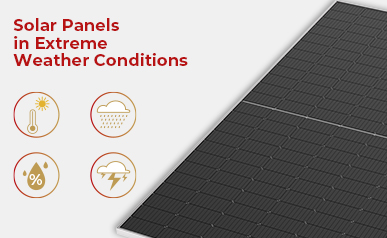 من قطرات المطر إلى الأشعة: اكتشاف كيفية تكيف الألواح الشمسية مع الطقس المتغير باستمرار